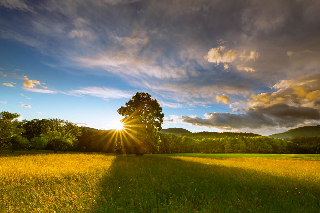 You are currently viewing Steiermark